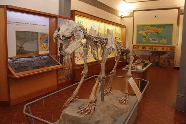 Museo Civico di Paleontologia di Empoli