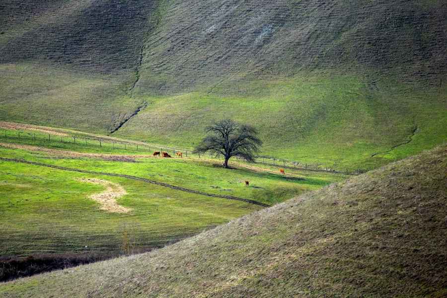 Paesaggio a Santo Stefano, Montaione