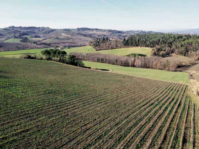 Vista da Montegufoni, Montespertoli