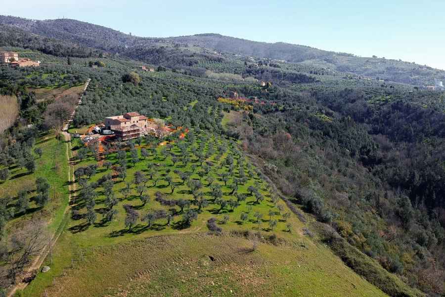 Panorama di San Lorenzo in Arniano, Vinci