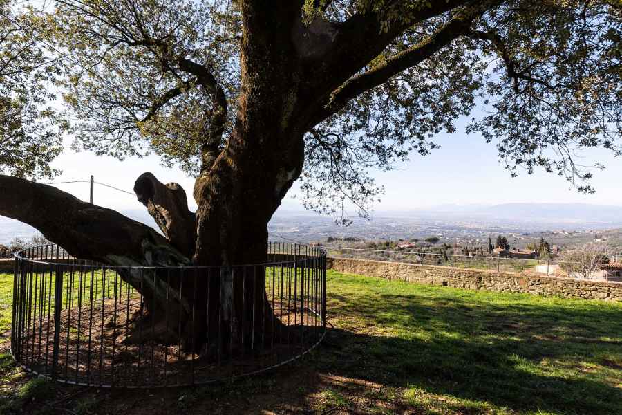 Vista dalla Chiesa di Santa Maria a Faltognano, Vinci