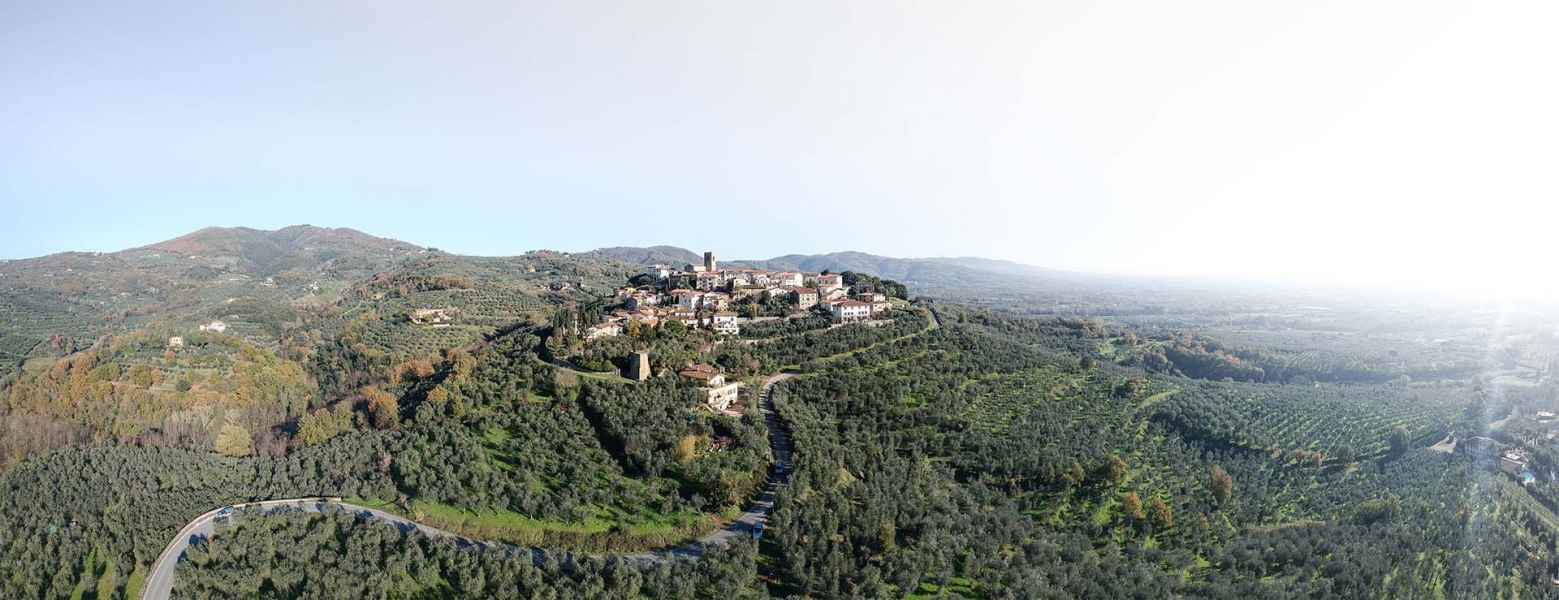 Panorama di Montevettolini, Monsummano