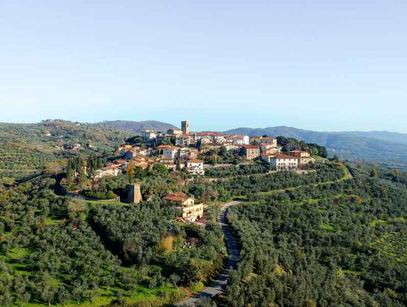 Panorama di Montevettolini, Monsummano
