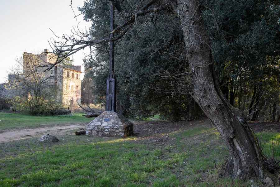 Vista della Torre di Sant