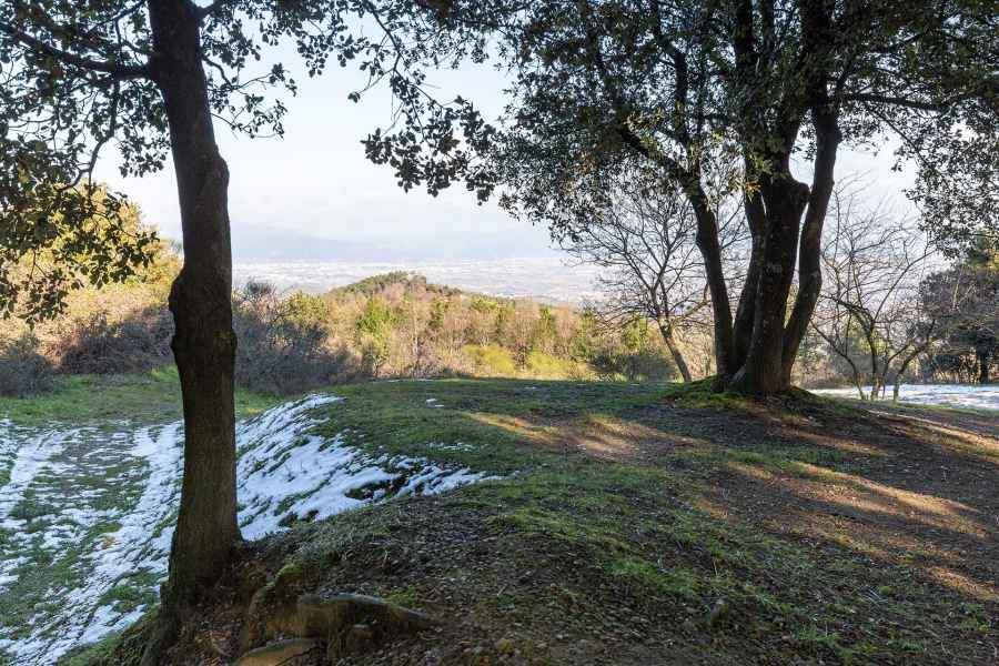 Vista da Pietramarina, Carmignano