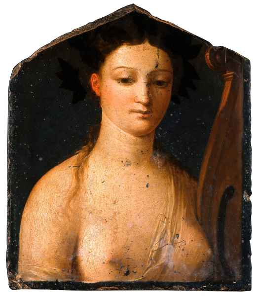 Musa Polimina, Cortona