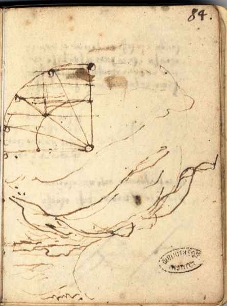 Ms. L, 84r. - Palude di Piombino, c. 1502