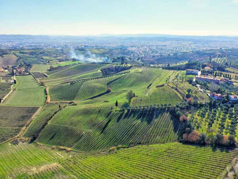 Colline a Collegonzi, Vinci