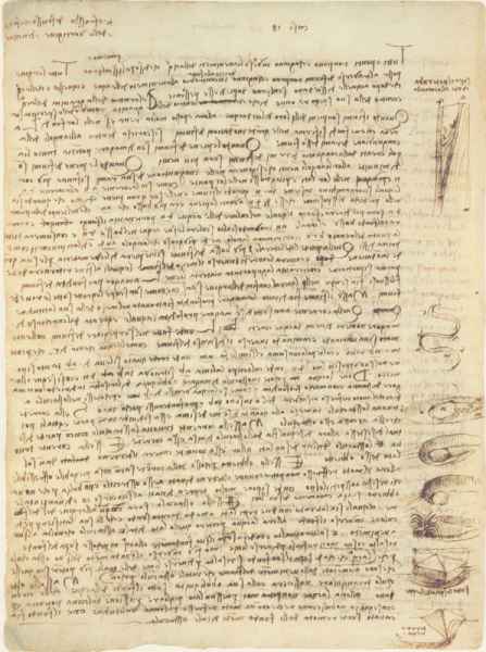 Codice Leicester, 16v. - Pagina con otto disegni e diciannove osservazioni («casi 18») sul corso dei fiumi e sulle tipologie di «obbietti».