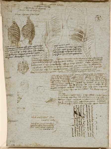 Disegni e annotazioni di Leonardo su un