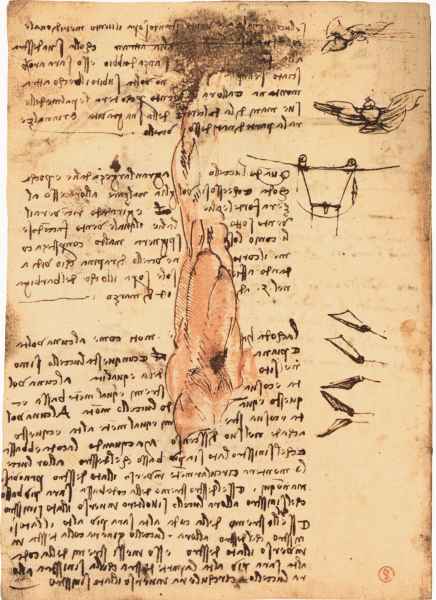 Codice sul volo degli uccelli, 17v. - Memoria del cortone visto a Fiesole il 14 marzo 1505