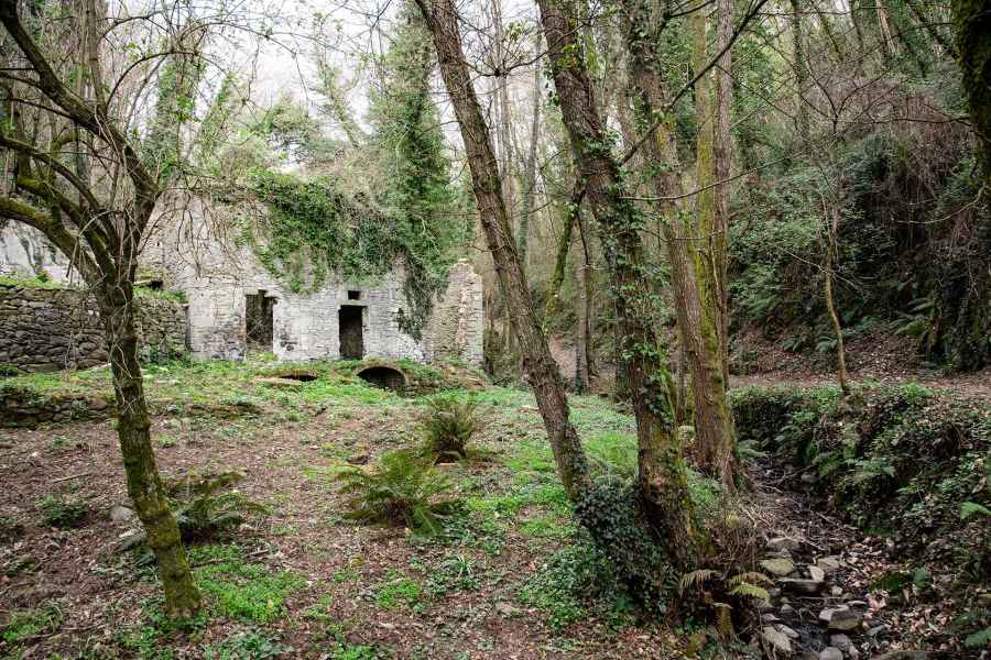 Vista di Mulino Camillino, Vinci