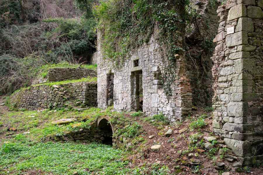 Vista di Mulino Camillino, Vinci
