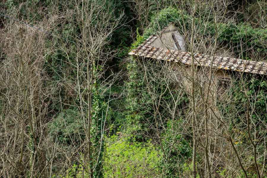 Il molino Bellocci (poi detto Lunardi), Vinci
