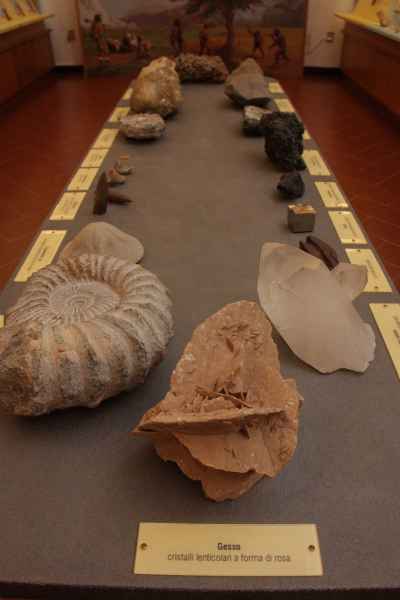 Museo Civico di Paleontologia di Empoli