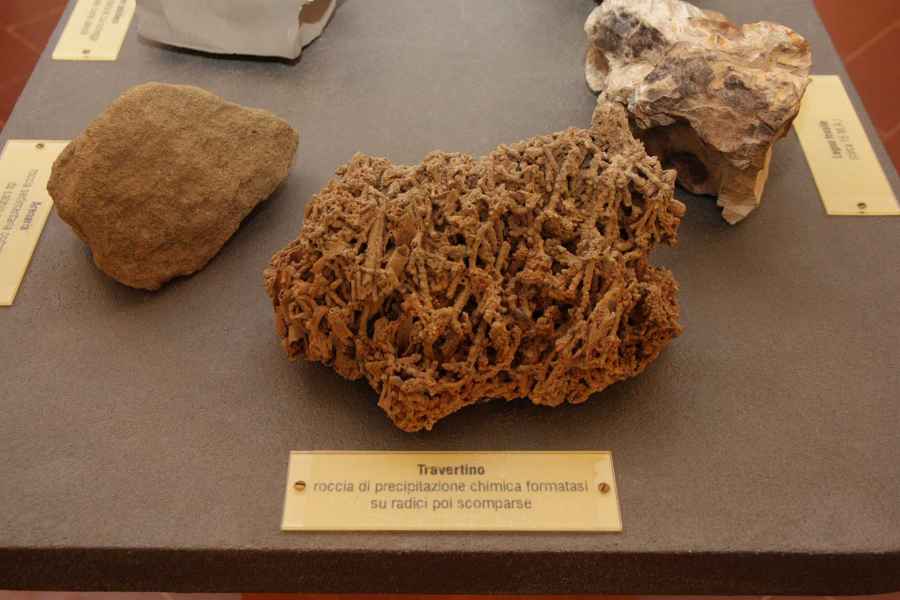 Museo Civico di Paleontologia di Empoli