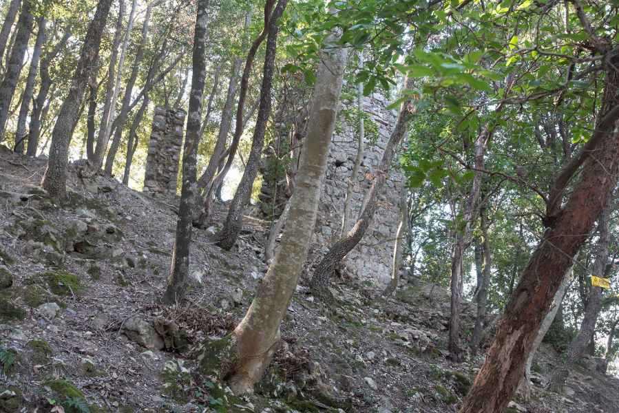 Ruins of the ancient Castle of Pietra, Montaione
