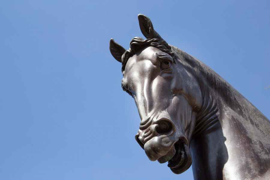 Detail of the bronze horse of Leonardo, work by Nina Akamu, Vinci