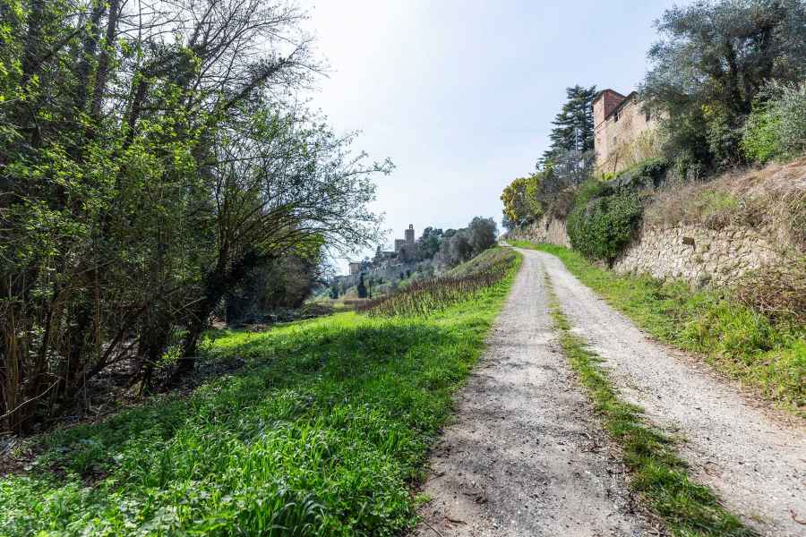 The Mill of La Doccia, Vinci
