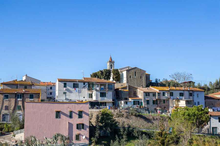 View of Vitolini, Vinci