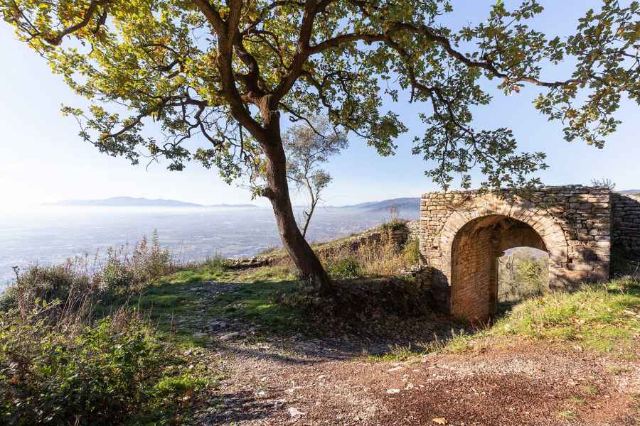 Panoramic view from Monsummano Alto