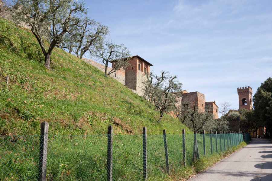 View of the fortress of Montecarlo, Monsummano