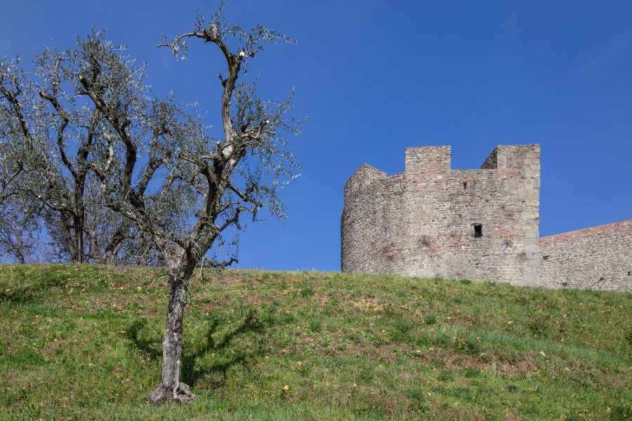 Semi-cylindrical stone tower of the fortress of Montecarlo, Monsummano