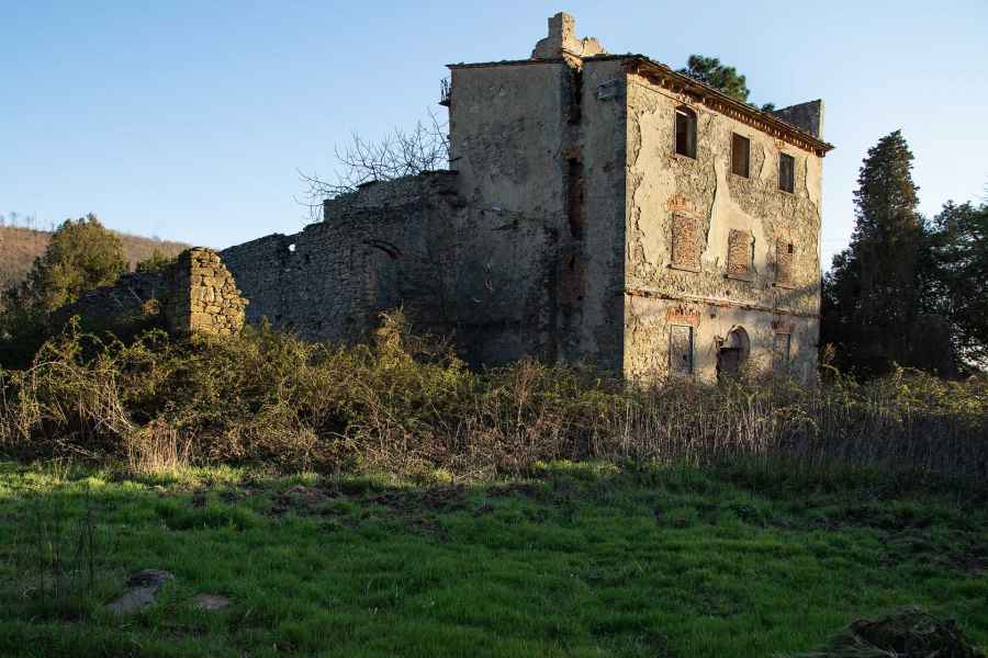 View of the Tower of Sant