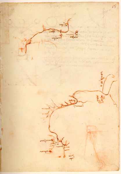 Madrid Ms. II, 15r. - The Arno from Signa to Montelupo, c. 1503-1504. 