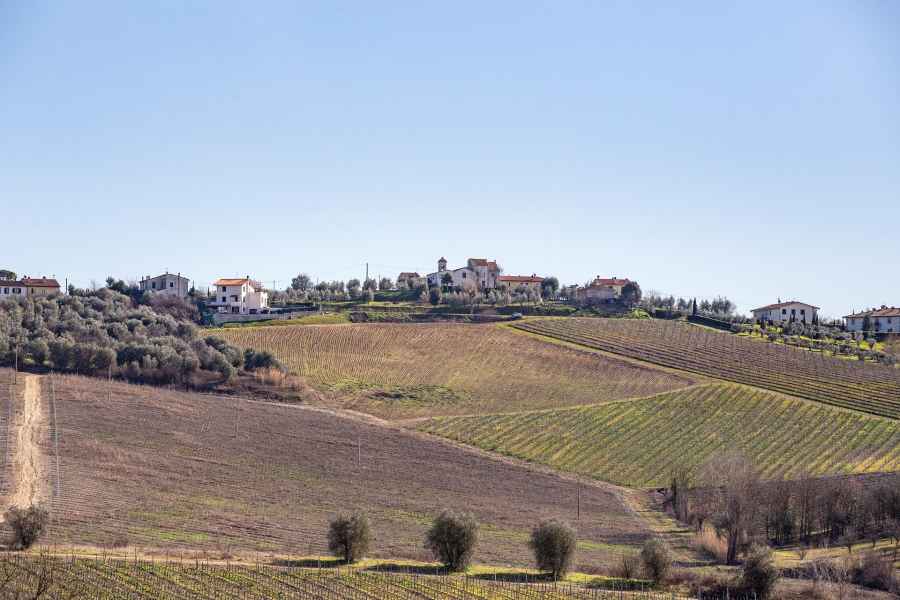 Panoramic view of Collegonzi, Vinci