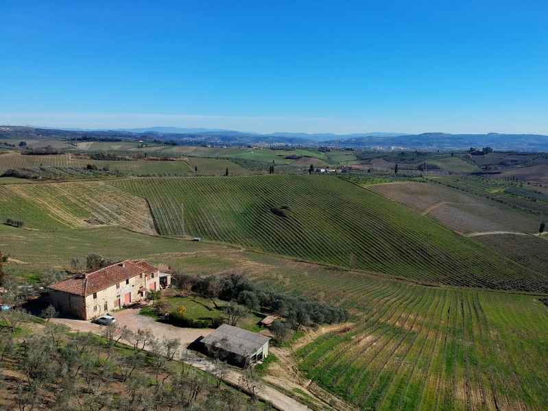 Hills of Collegonzi, Vinci