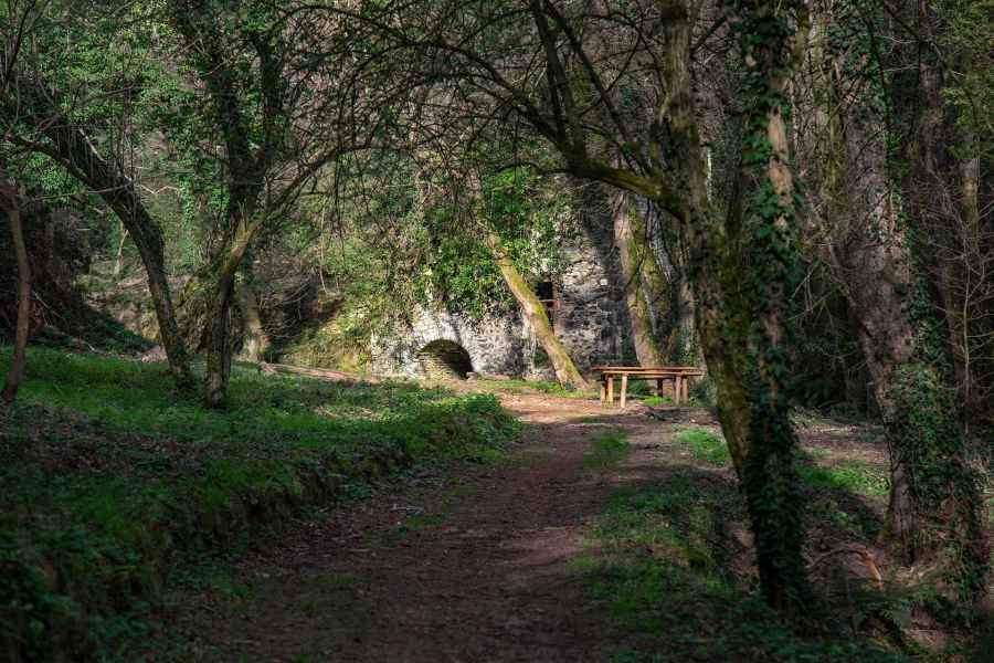 Mill of the Bongi, Vinci