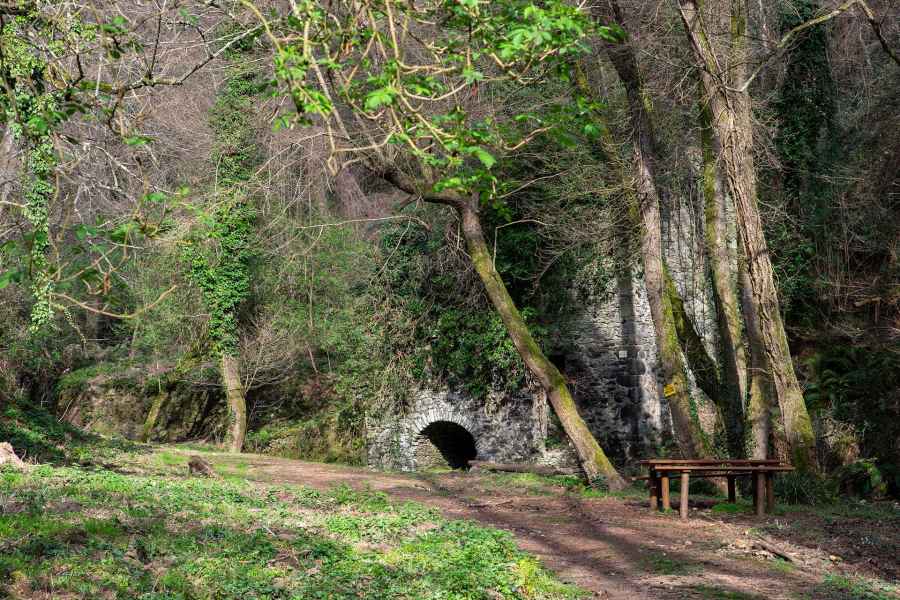 Mill of the Bongi, Vinci