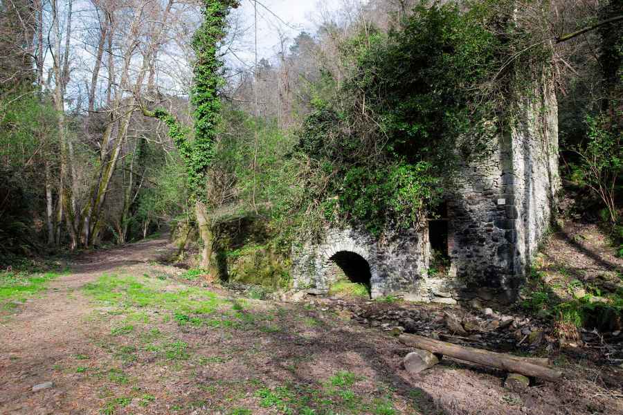 Mill of the Bongi, Vinci