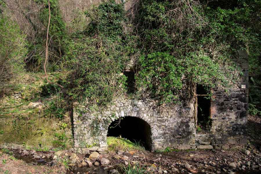 Mill of the Bongi, Vinci