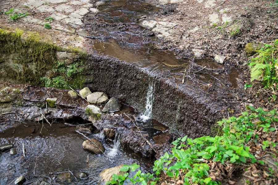 Detail of the Mill of the Bongi, Vinci