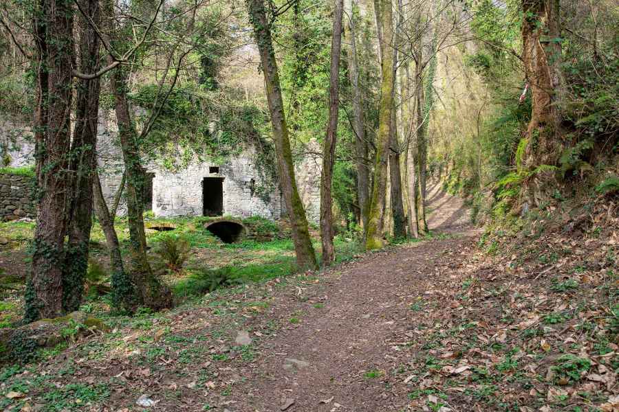 View of the Camillino Mill, Vinci