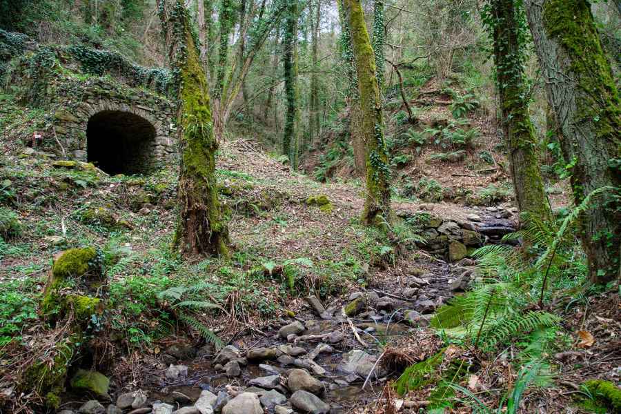View of the Nannini Mill, Vinci