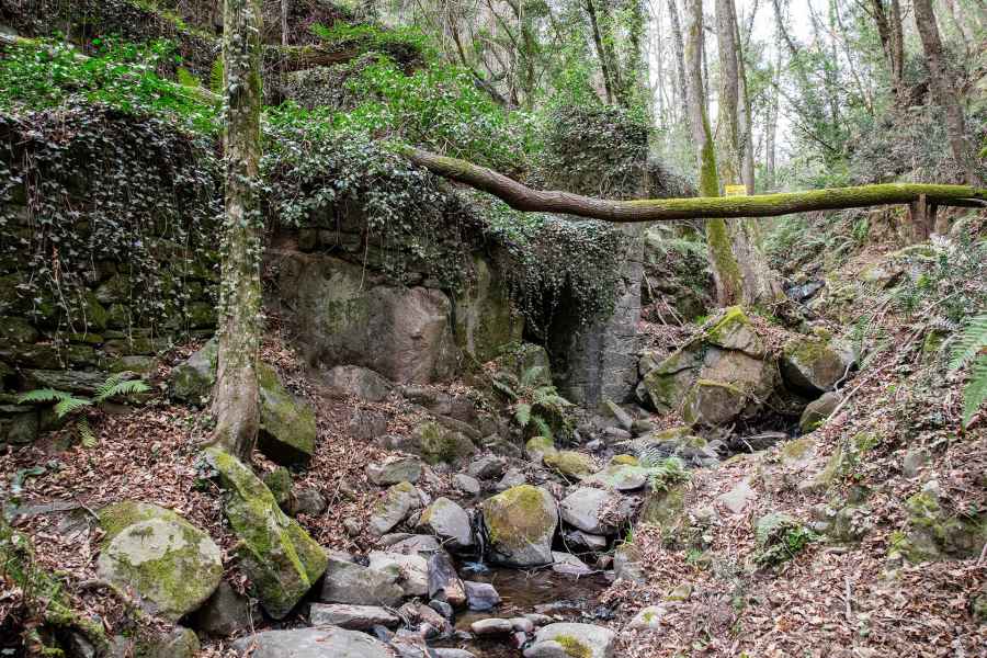 The Mulino dei Poveri (Mill of the Poor), Vinci