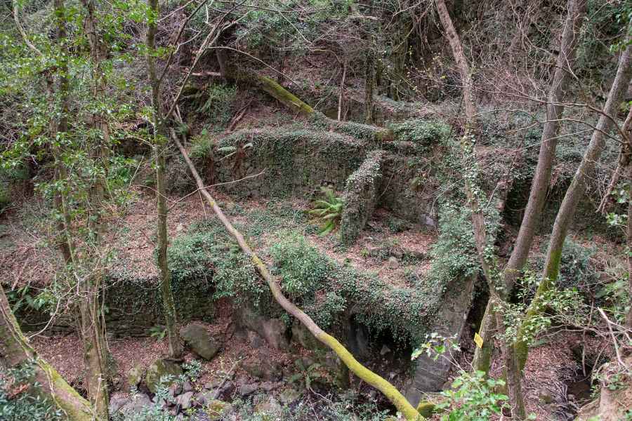 View of the Mulino dei Poveri (Mill of the Poor), Vinci
