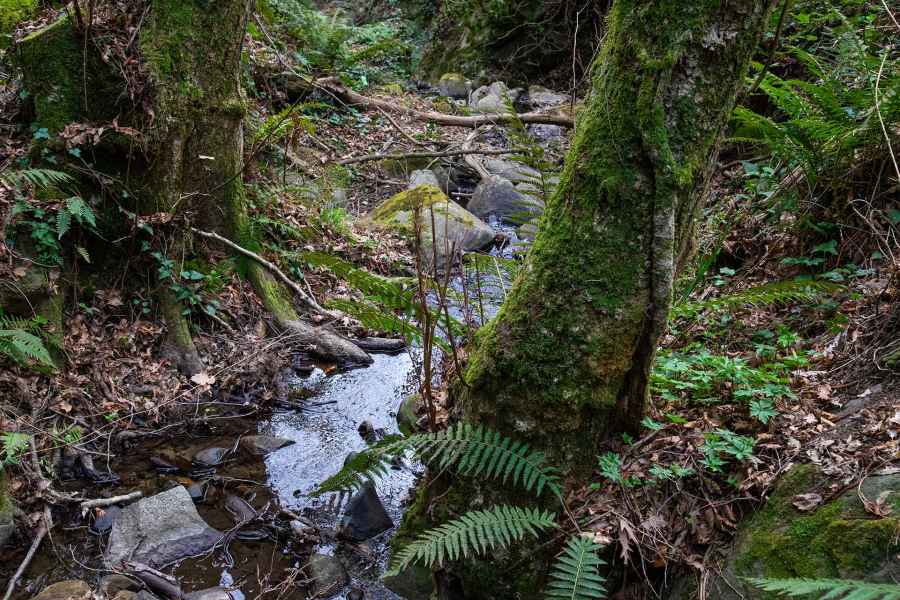 The Mulino dei Poveri (Mill of the Poor), Vinci