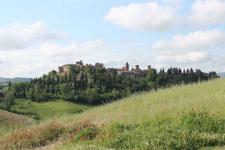 View of Certaldo Alto