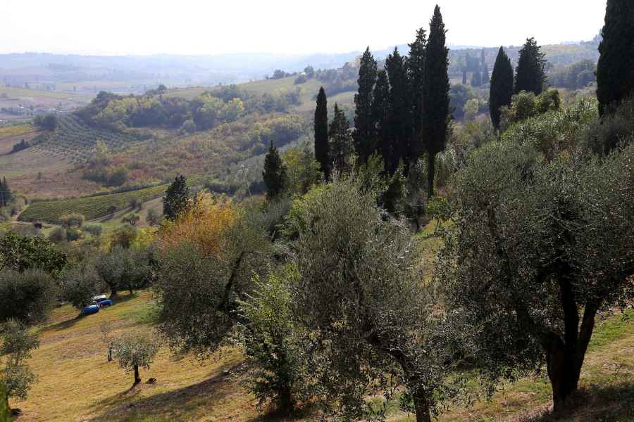 View from Monterappoli, Empoli