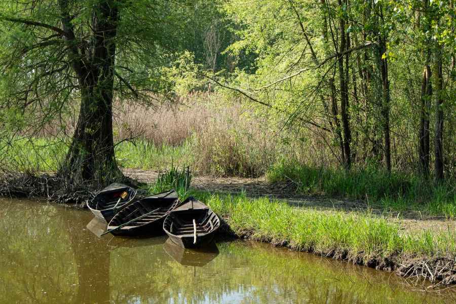 Small boats in the Fucecchio Marsh