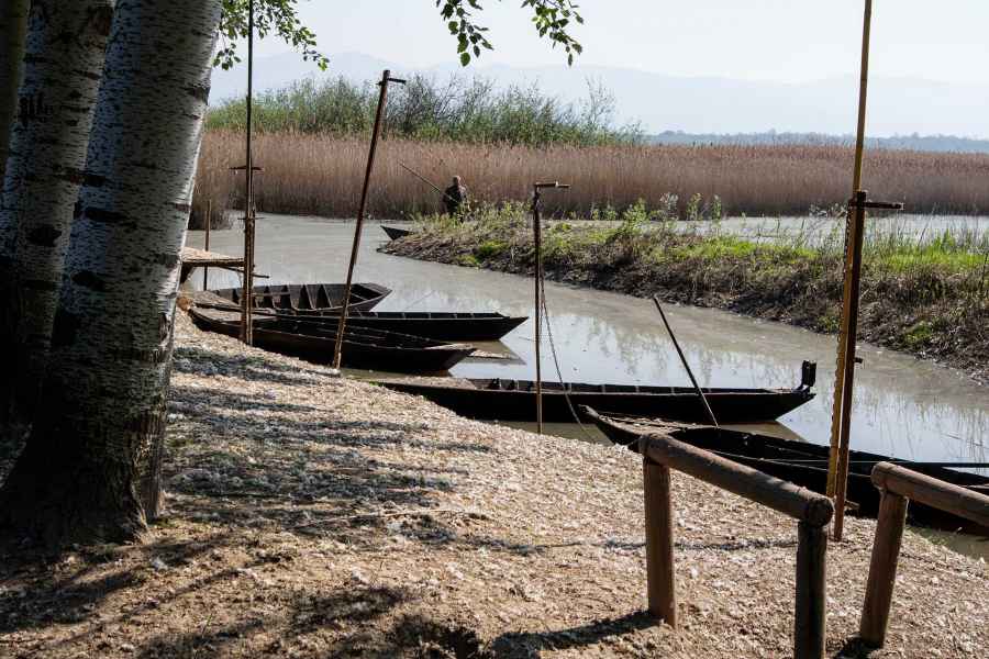 Small boats in the Fucecchio Marsh
