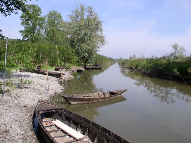 Small boats in the Fucecchio Marsh