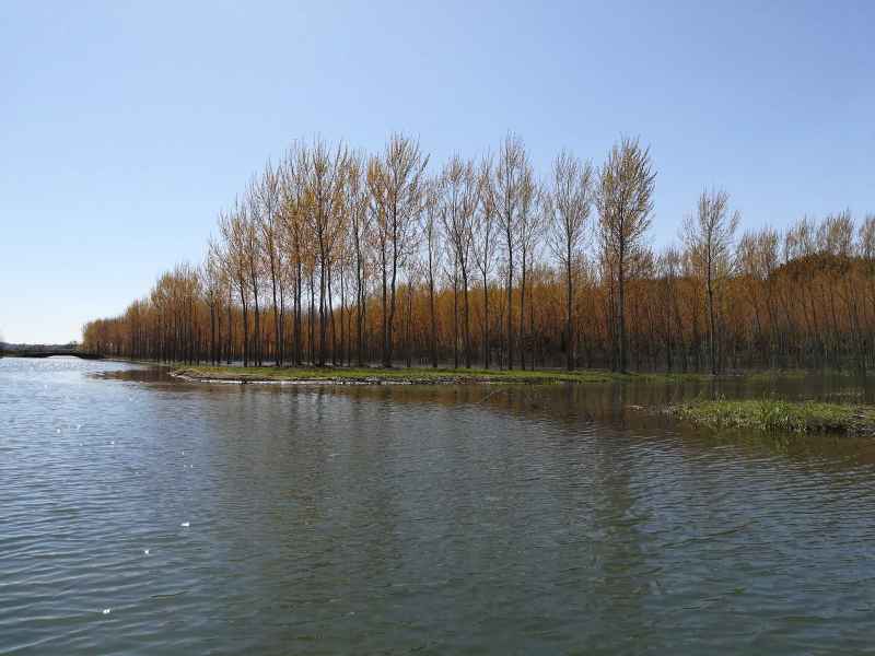 View of the Fucecchio Marsh