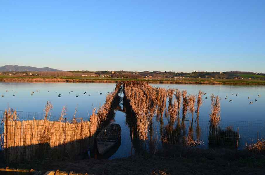 View of the Fucecchio Marsh