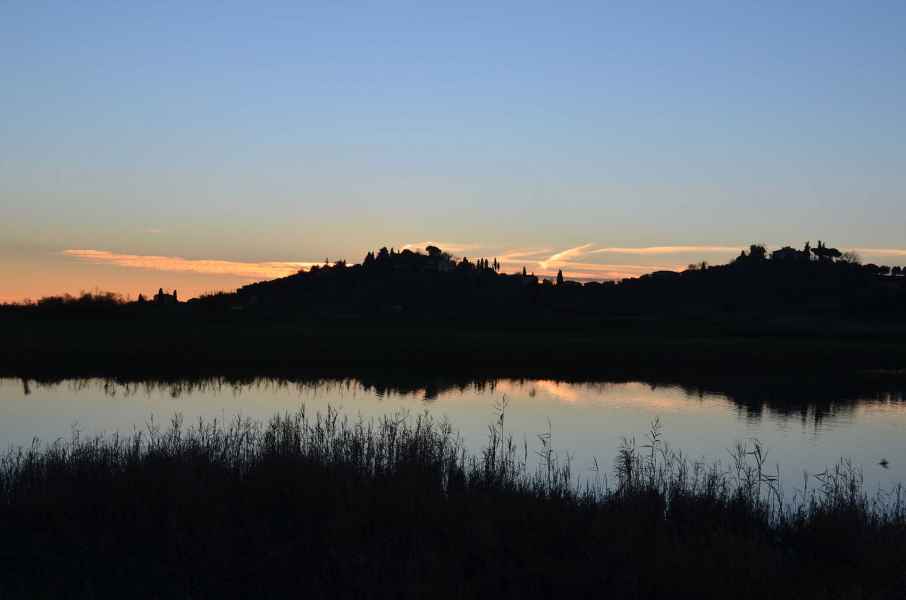 View of the Fucecchio Marsh