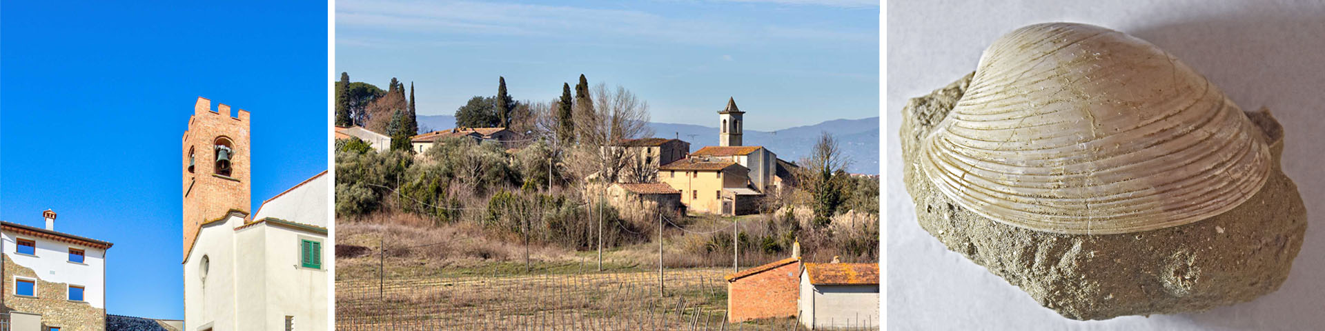 The lands of Leonardo’s nichi